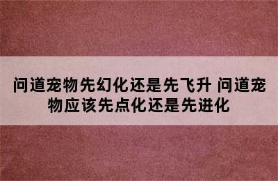 问道宠物先幻化还是先飞升 问道宠物应该先点化还是先进化